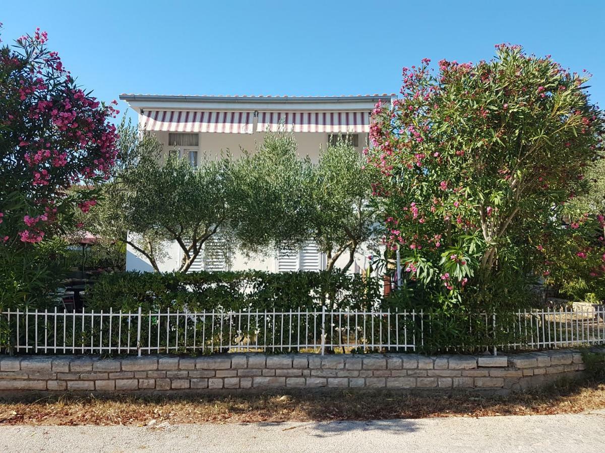 Apartman Roko Petrcane Exterior photo